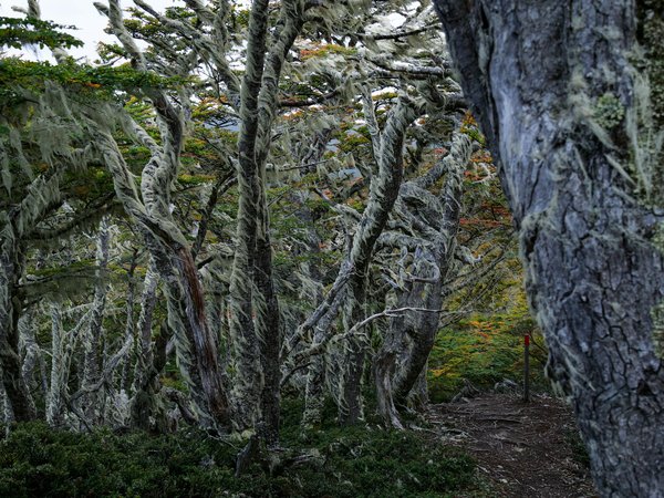 Quels sont les meilleurs conseils pour une randonnée dans le parc national de Torres del Paine, Chili ?