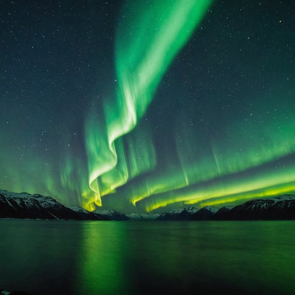 Comment choisir une croisière qui offre des excursions pour observer les aurores australes?